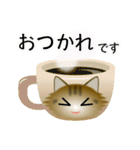 色々な猫13-3 長毛-立ち耳-キジトラ（個別スタンプ：9）