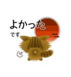 色々な猫13-3 長毛-立ち耳-キジトラ（個別スタンプ：11）