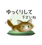 色々な猫13-3 長毛-立ち耳-キジトラ（個別スタンプ：12）