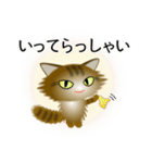 色々な猫13-3 長毛-立ち耳-キジトラ（個別スタンプ：15）