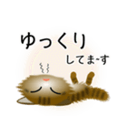 色々な猫13-3 長毛-立ち耳-キジトラ（個別スタンプ：18）