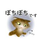 色々な猫13-3 長毛-立ち耳-キジトラ（個別スタンプ：20）