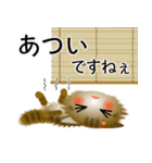 色々な猫13-3 長毛-立ち耳-キジトラ（個別スタンプ：21）