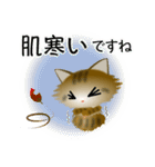色々な猫13-3 長毛-立ち耳-キジトラ（個別スタンプ：22）
