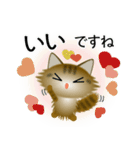 色々な猫13-3 長毛-立ち耳-キジトラ（個別スタンプ：24）