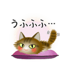 色々な猫13-3 長毛-立ち耳-キジトラ（個別スタンプ：25）