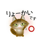 色々な猫13-3 長毛-立ち耳-キジトラ（個別スタンプ：27）