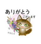 色々な猫13-3 長毛-立ち耳-キジトラ（個別スタンプ：31）
