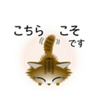 色々な猫13-3 長毛-立ち耳-キジトラ（個別スタンプ：32）