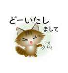 色々な猫13-3 長毛-立ち耳-キジトラ（個別スタンプ：33）
