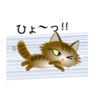 色々な猫13-3 長毛-立ち耳-キジトラ（個別スタンプ：34）