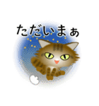 色々な猫13-3 長毛-立ち耳-キジトラ（個別スタンプ：38）