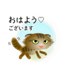 色々な猫13-4 長毛-垂れ耳-キジトラ（個別スタンプ：1）