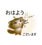 色々な猫13-4 長毛-垂れ耳-キジトラ（個別スタンプ：2）