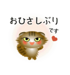 色々な猫13-4 長毛-垂れ耳-キジトラ（個別スタンプ：3）