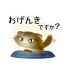 色々な猫13-4 長毛-垂れ耳-キジトラ（個別スタンプ：4）