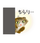 色々な猫13-4 長毛-垂れ耳-キジトラ（個別スタンプ：6）