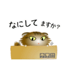 色々な猫13-4 長毛-垂れ耳-キジトラ（個別スタンプ：8）