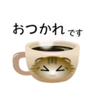色々な猫13-4 長毛-垂れ耳-キジトラ（個別スタンプ：9）