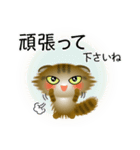 色々な猫13-4 長毛-垂れ耳-キジトラ（個別スタンプ：16）