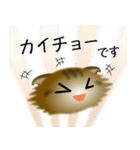 色々な猫13-4 長毛-垂れ耳-キジトラ（個別スタンプ：17）