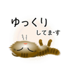 色々な猫13-4 長毛-垂れ耳-キジトラ（個別スタンプ：18）
