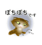 色々な猫13-4 長毛-垂れ耳-キジトラ（個別スタンプ：20）