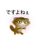 色々な猫13-4 長毛-垂れ耳-キジトラ（個別スタンプ：23）