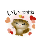 色々な猫13-4 長毛-垂れ耳-キジトラ（個別スタンプ：24）