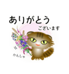 色々な猫13-4 長毛-垂れ耳-キジトラ（個別スタンプ：31）