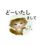 色々な猫13-4 長毛-垂れ耳-キジトラ（個別スタンプ：33）