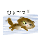 色々な猫13-4 長毛-垂れ耳-キジトラ（個別スタンプ：34）