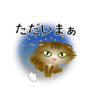 色々な猫13-4 長毛-垂れ耳-キジトラ（個別スタンプ：38）