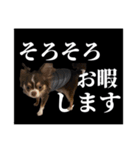 ふーちゃんねるのとたんちょー（個別スタンプ：26）