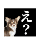 ふーちゃんねるのとたんちょー（個別スタンプ：33）