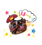 さび猫1番【実写】Stamp（個別スタンプ：8）