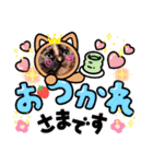 さび猫1番【実写】Stamp（個別スタンプ：12）
