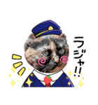 さび猫1番【実写】Stamp（個別スタンプ：25）