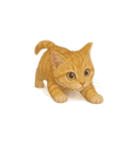 茶トラ猫 (Cha-tora neko)（個別スタンプ：4）