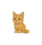 茶トラ猫 (Cha-tora neko)（個別スタンプ：5）
