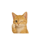 茶トラ猫 (Cha-tora neko)（個別スタンプ：7）