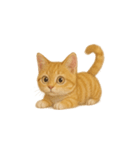 茶トラ猫 (Cha-tora neko)（個別スタンプ：11）