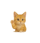 茶トラ猫 (Cha-tora neko)（個別スタンプ：12）