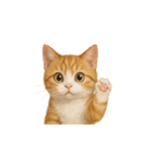 茶トラ猫 (Cha-tora neko)（個別スタンプ：14）