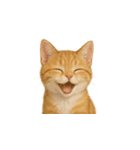 茶トラ猫 (Cha-tora neko)（個別スタンプ：17）