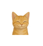 茶トラ猫 (Cha-tora neko)（個別スタンプ：19）