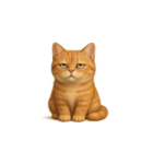 茶トラ猫 (Cha-tora neko)（個別スタンプ：30）