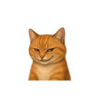 茶トラ猫 (Cha-tora neko)（個別スタンプ：32）