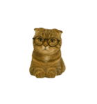 小さな耳のキジトラ猫（キジトラ）（個別スタンプ：5）