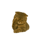 小さな耳のキジトラ猫（キジトラ）（個別スタンプ：8）